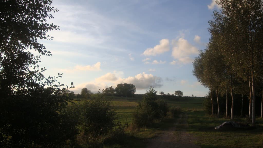 Soleil de fin de journée