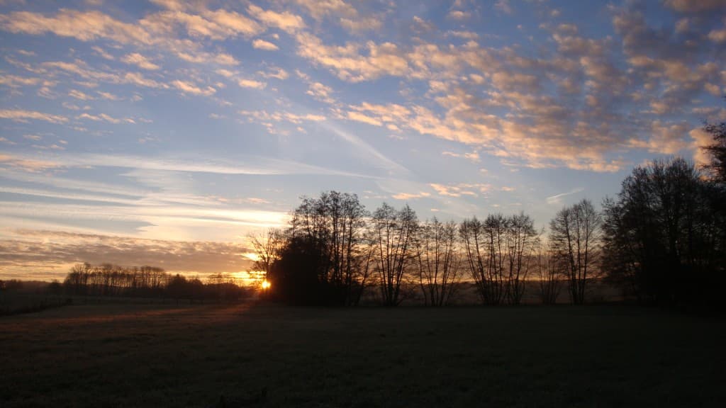 Soleil et gelée blanche