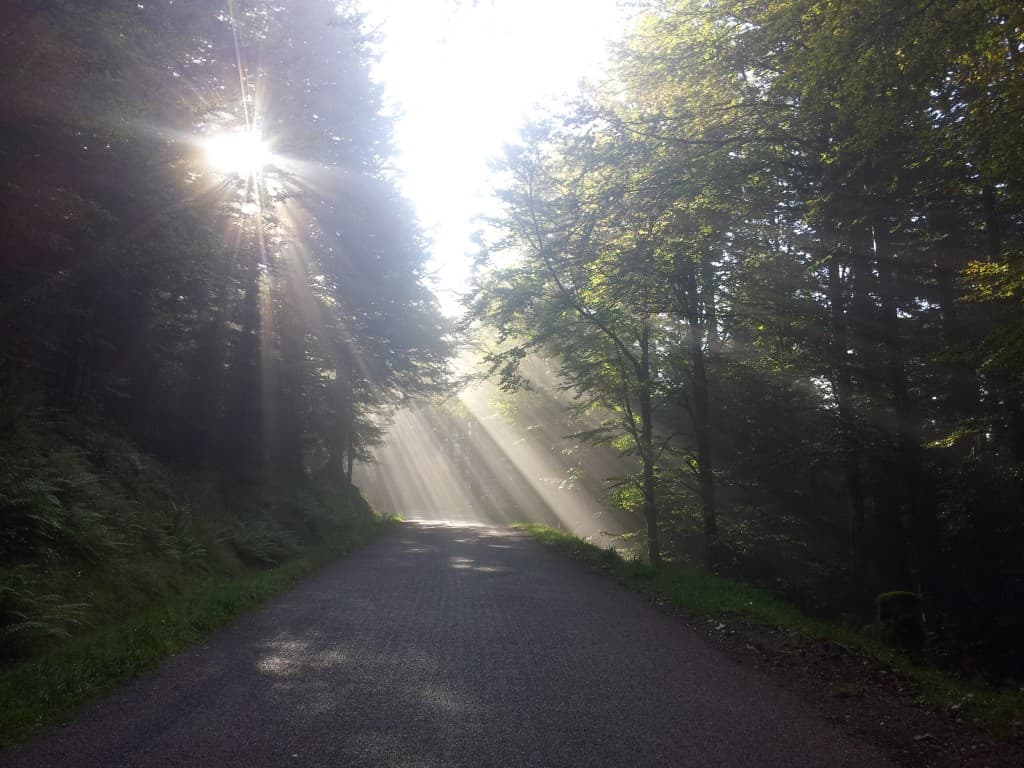 soleil matinal