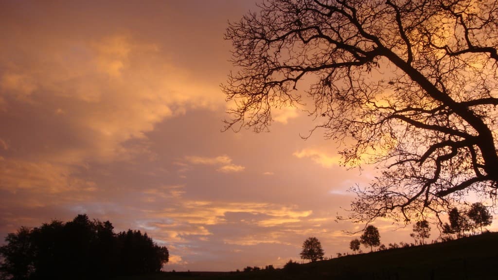 Superbe lumière au lever du soleil