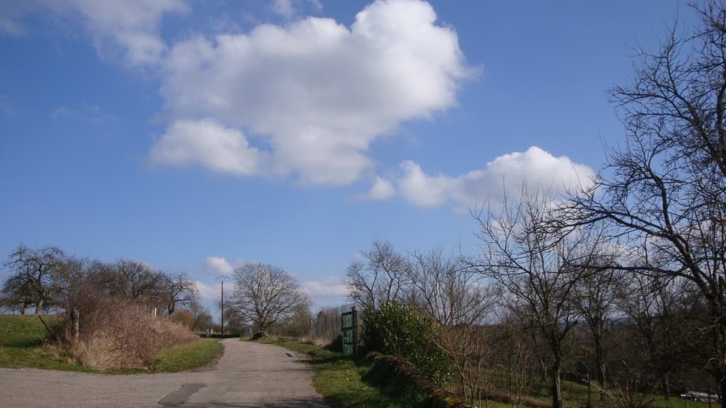 Temps printanier de cet après midi