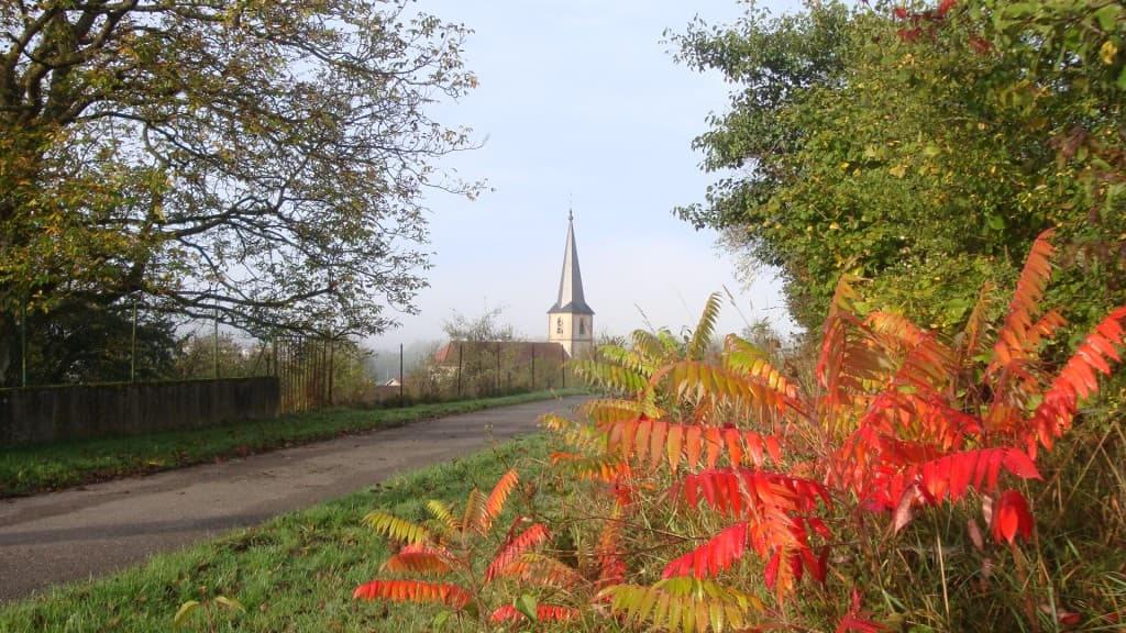 Vinaigrier aux couleurs d'automne