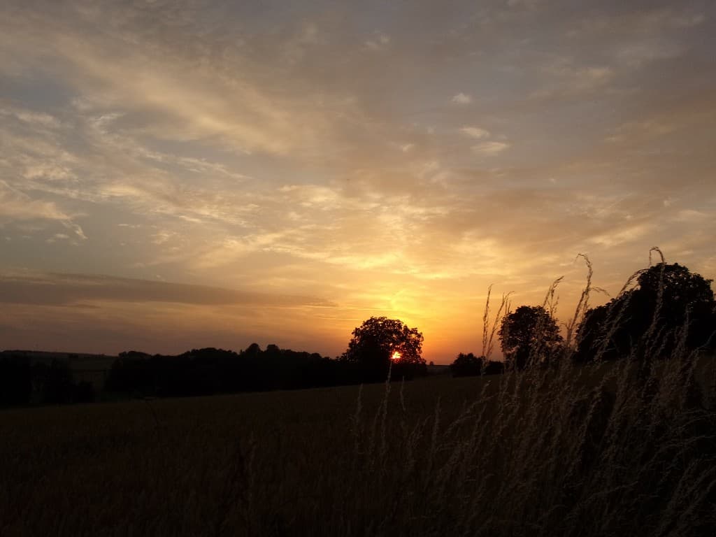 Coucher de soleil champêtre