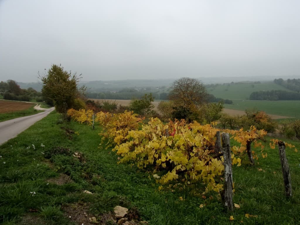  Couleurs automnales dans la grisaille