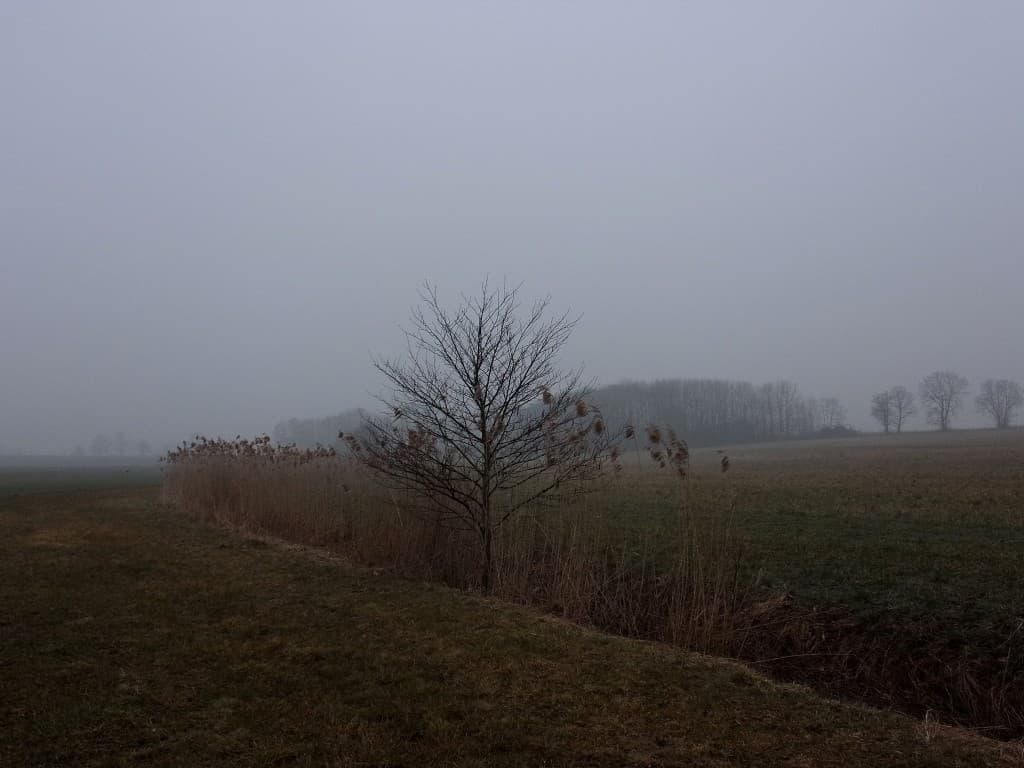 Du brouillard aujourd'hui
