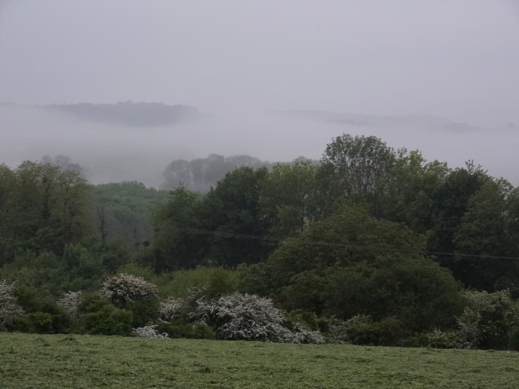 Du brouillard tôt ce matin
