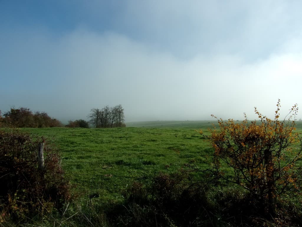 Enfin... le ciel bleu réapparait..