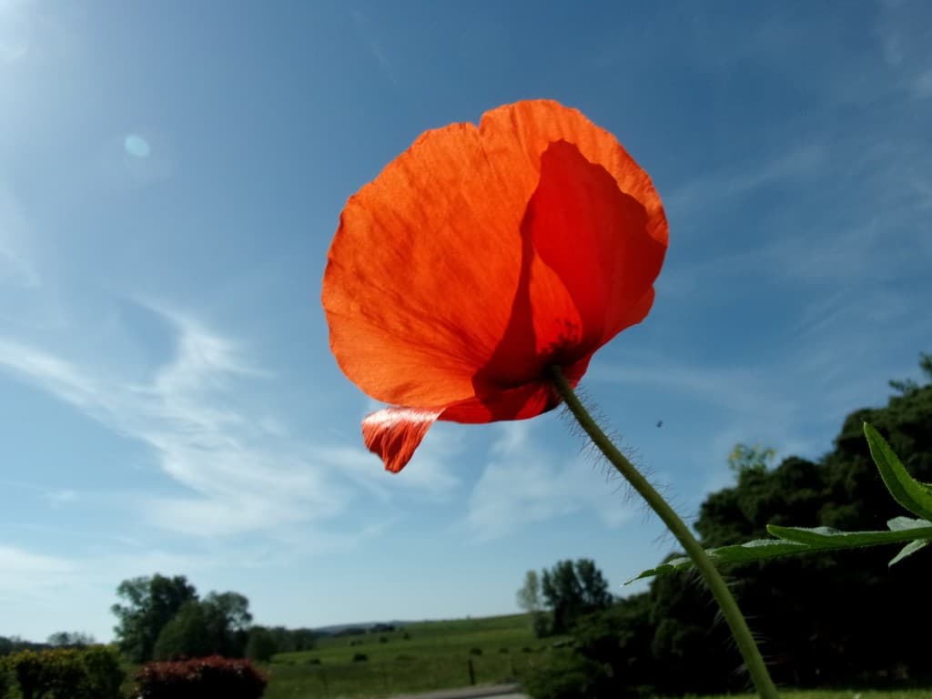 Grand ciel bleu ce matin