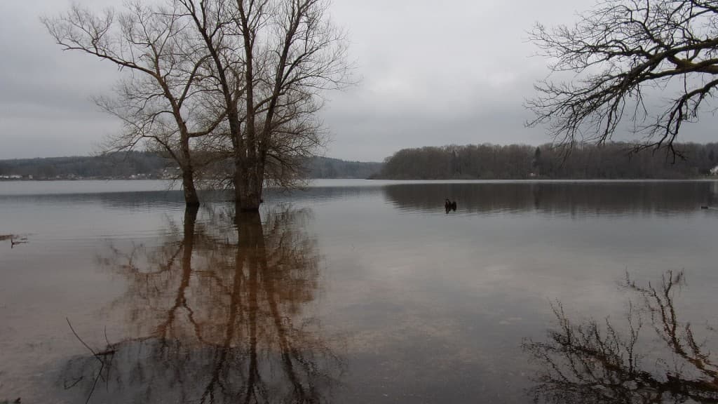 Gris et froid