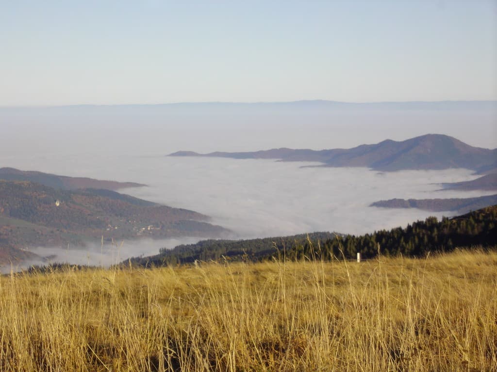 INVERSION