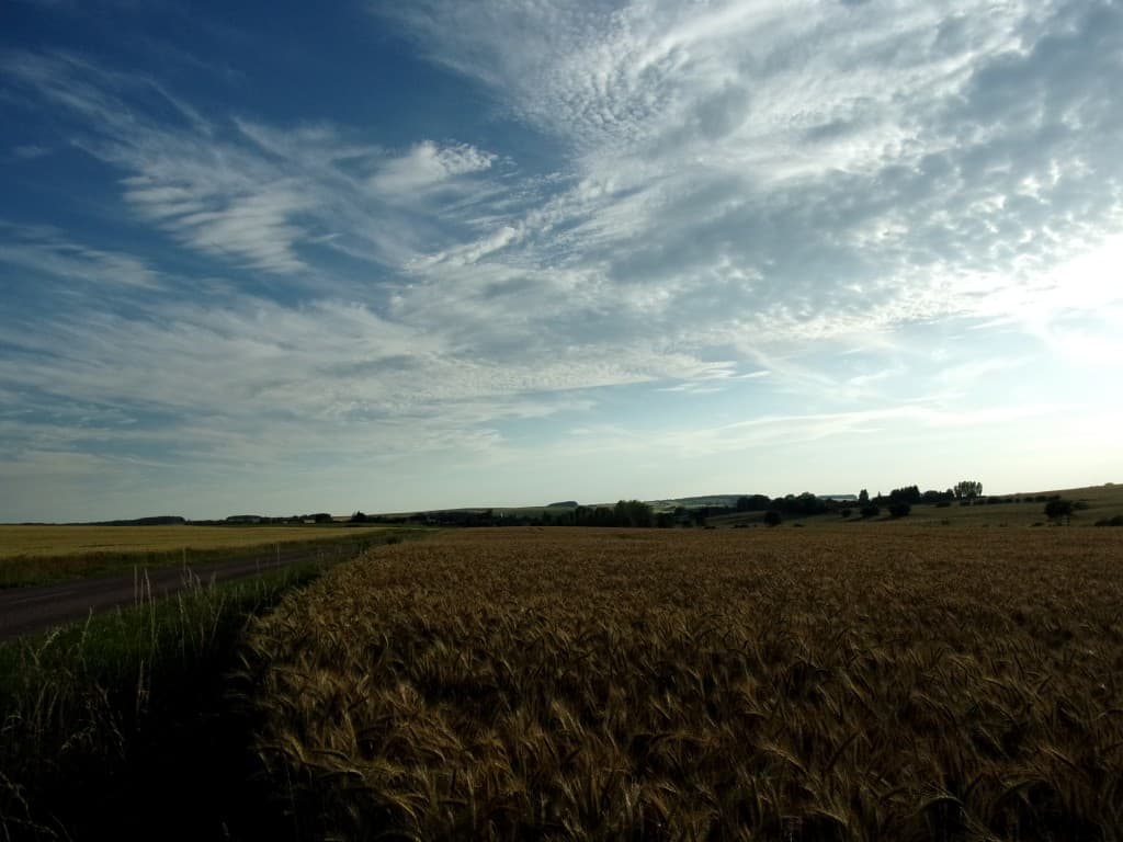 Joli ciel du soir