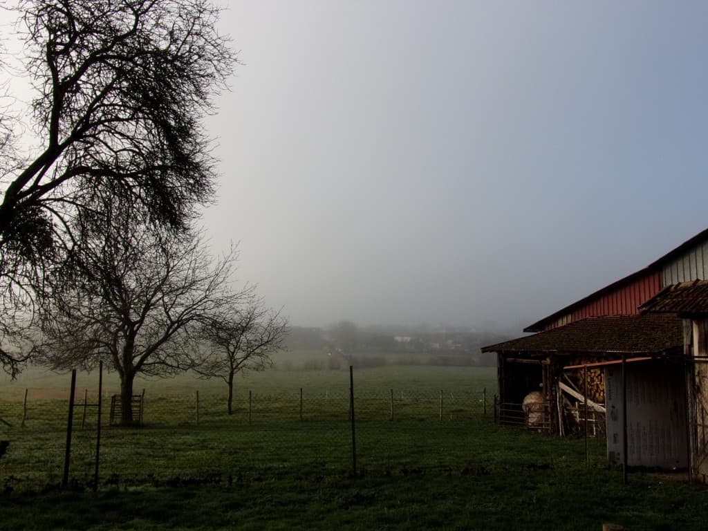Levée temporaire du brouillard