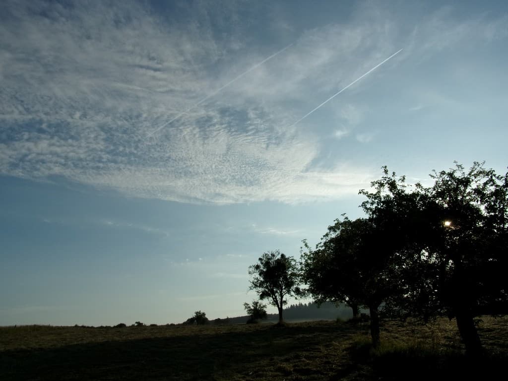 Petits nuages matinaux