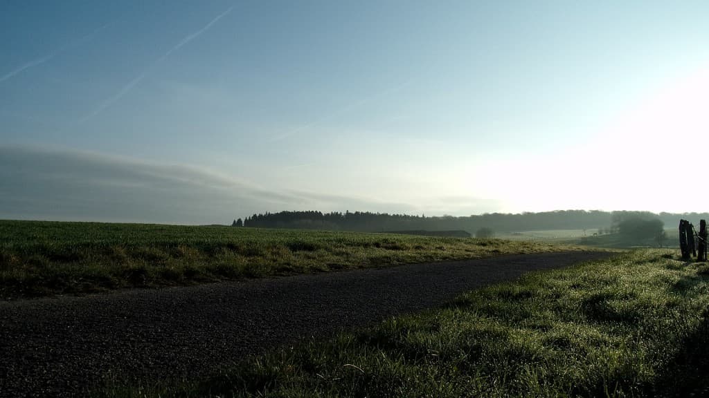 Rosée du matin