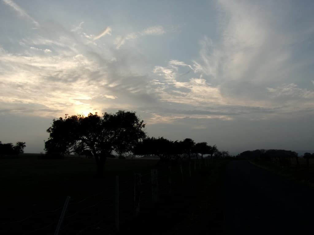 Un tout petit rayon de soleil ce soir