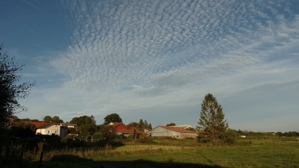 Altocumulus 