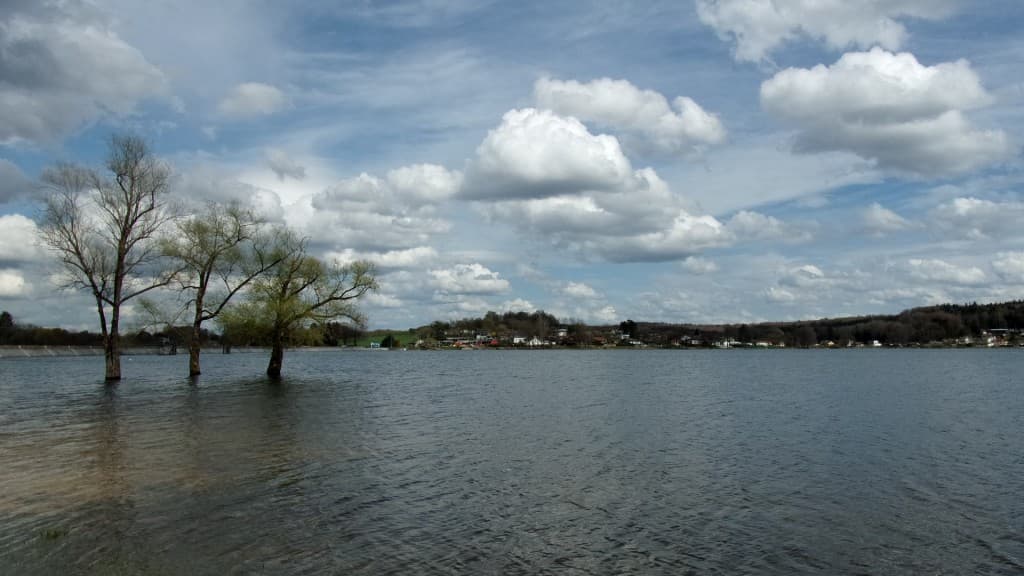 Avant que cela ne se gâte