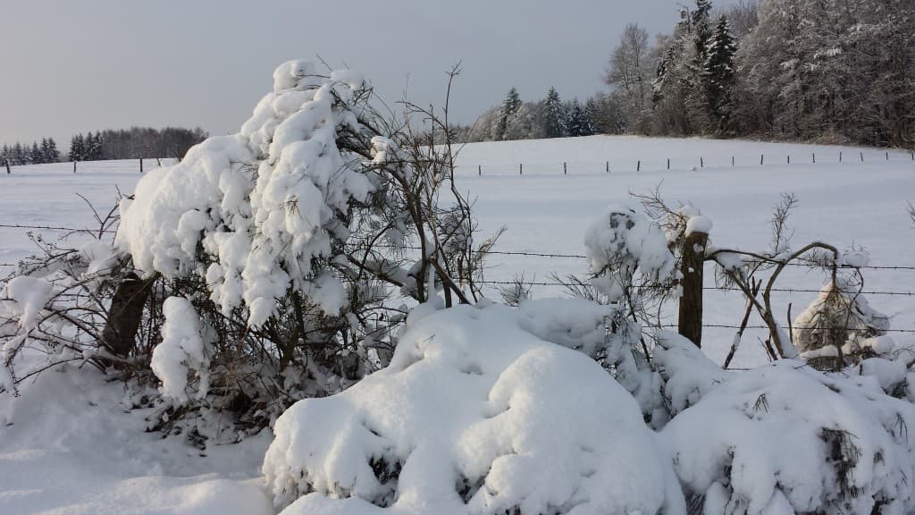 Bref rayon de soleil sur la neige
