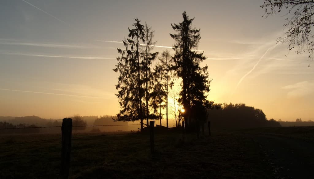Brume au lever du soleil