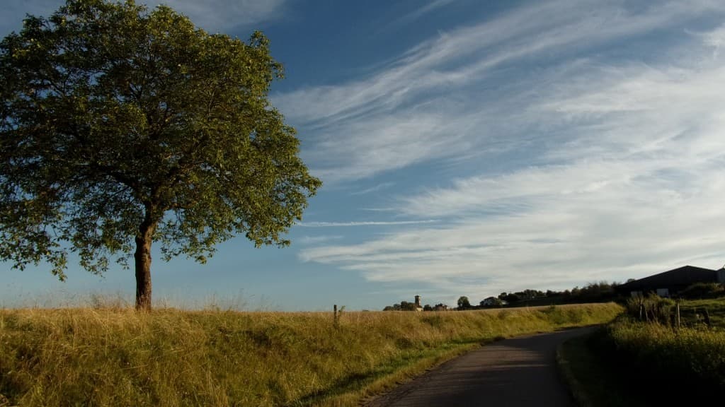 Cirrus du soir