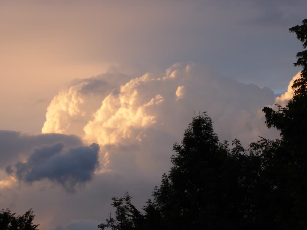 Cumulus du soir.