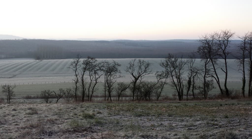 Gelée blanche ce matin
