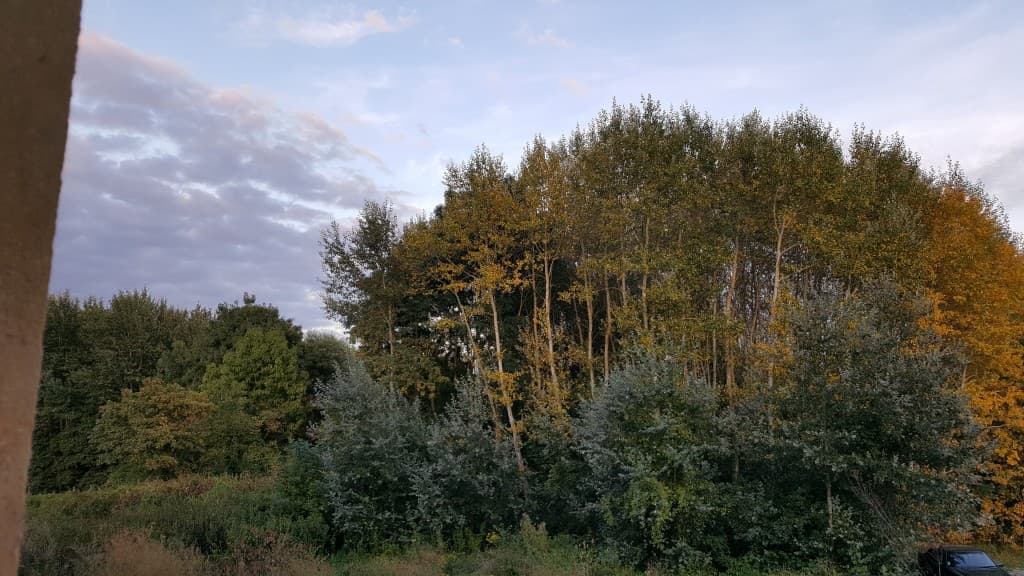 L'automne en été