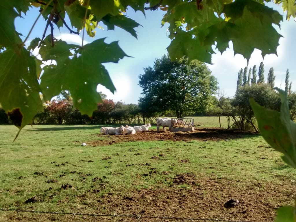 le bonheur est sous le soleil