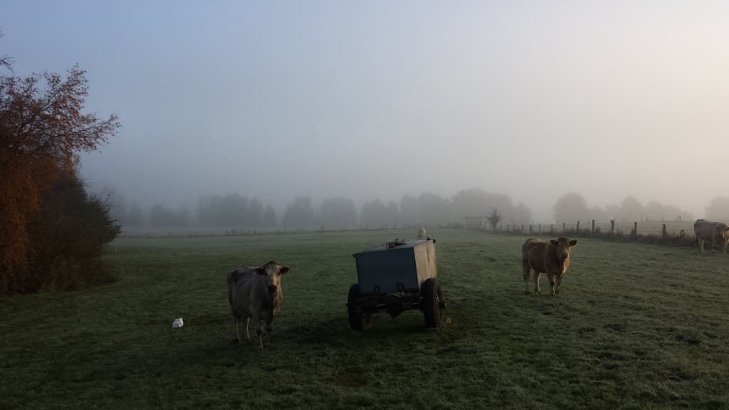 Le brouillard se dissipe