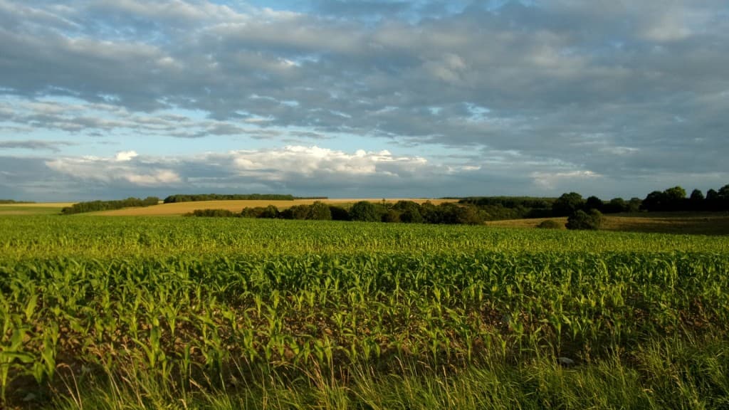 Lumière du soir bis...