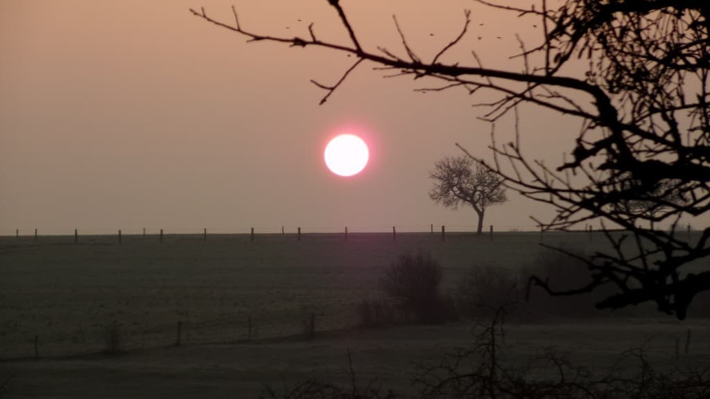 Soleil et gelée matinale