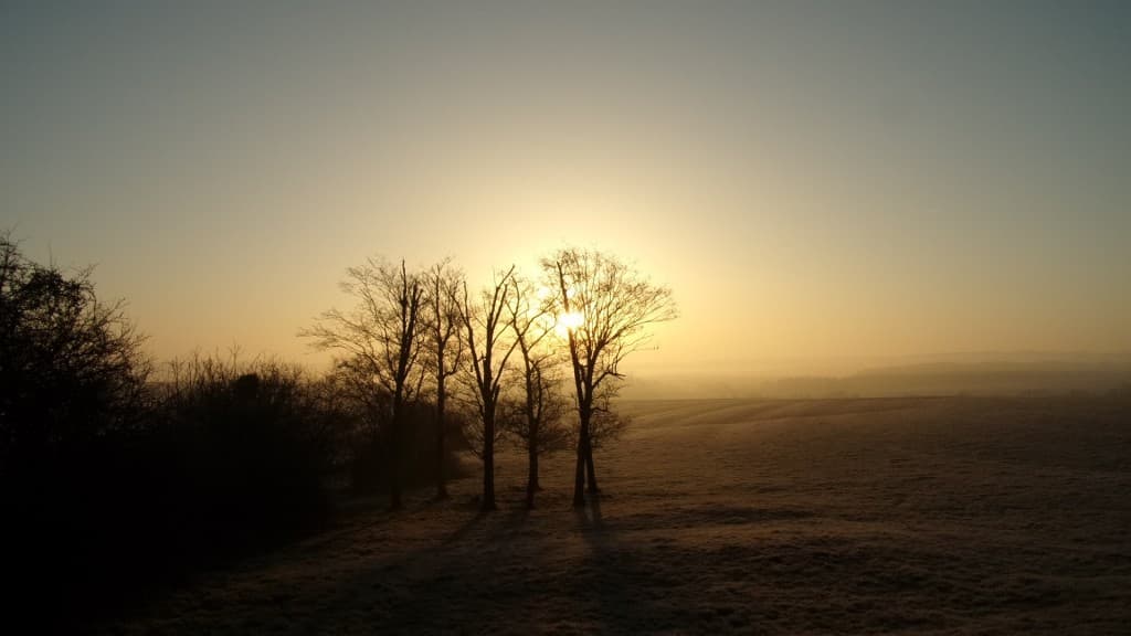 Brume et gelée blanche