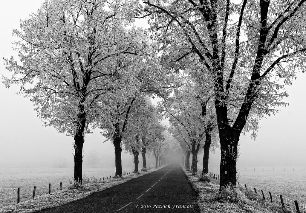 La route sans fin