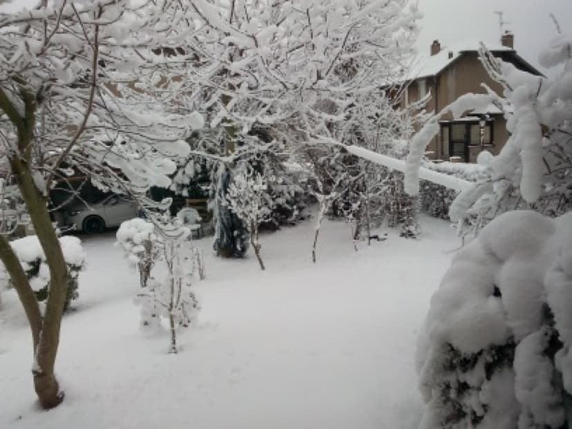 NEIGE INDUSTRIELLE 
