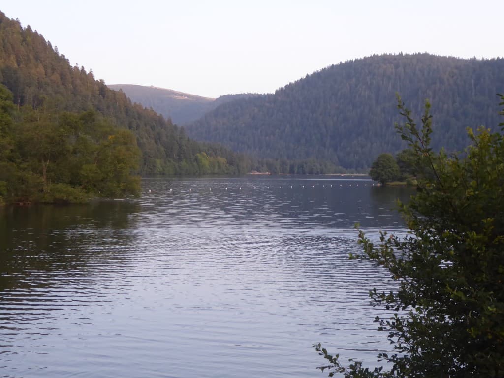 Température de l'eau idéale.