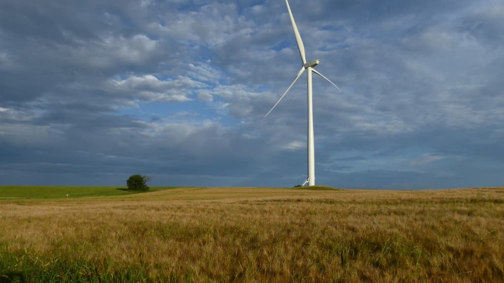 Eolienne dans les champs dorés