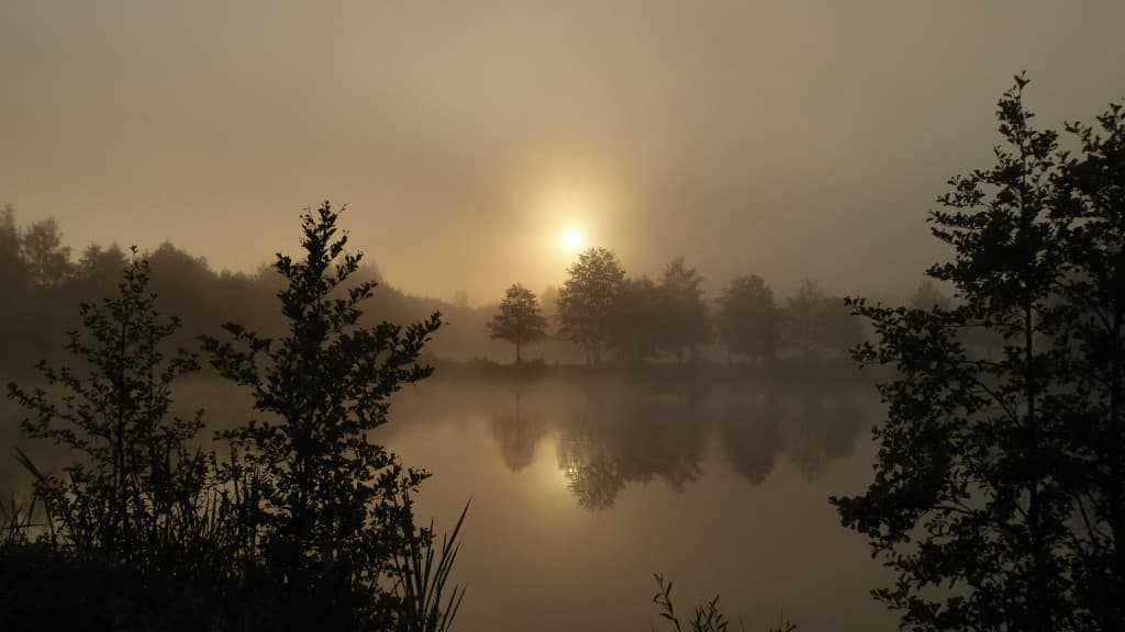 Lever de soleil brumeux