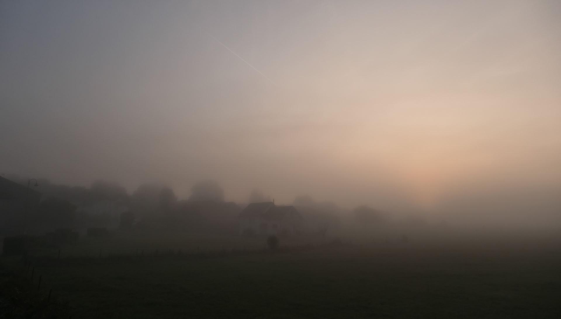 Brouillard matinal