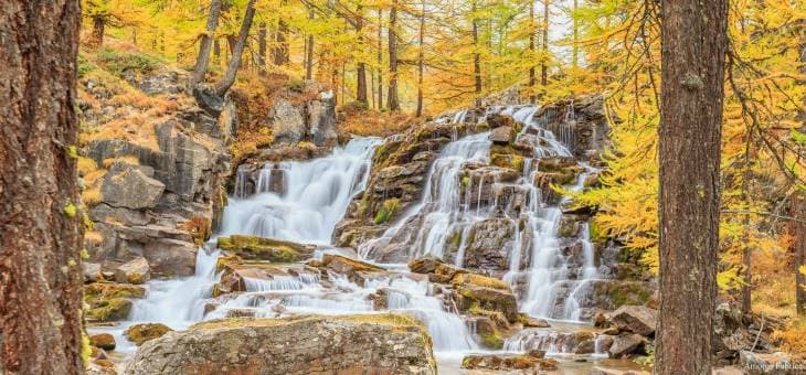 Image d'illustration pour Les dernières couleurs d'automne avant les paysages d'hiver