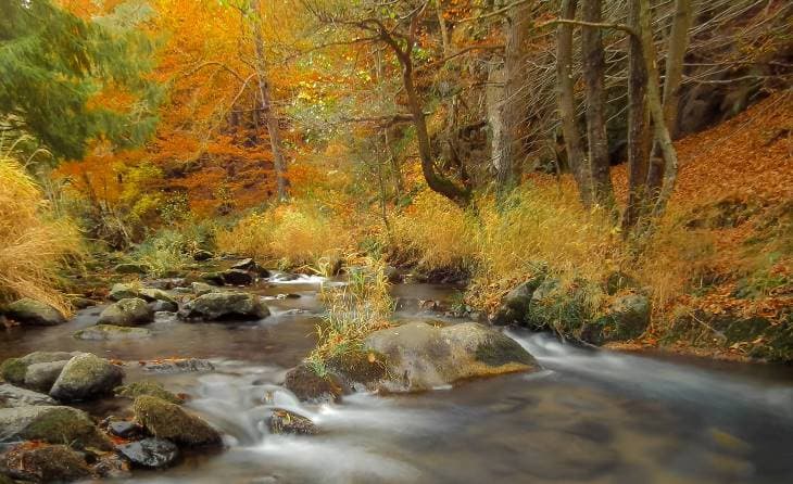 Image d'illustration pour Les dernières couleurs d'automne avant les paysages d'hiver