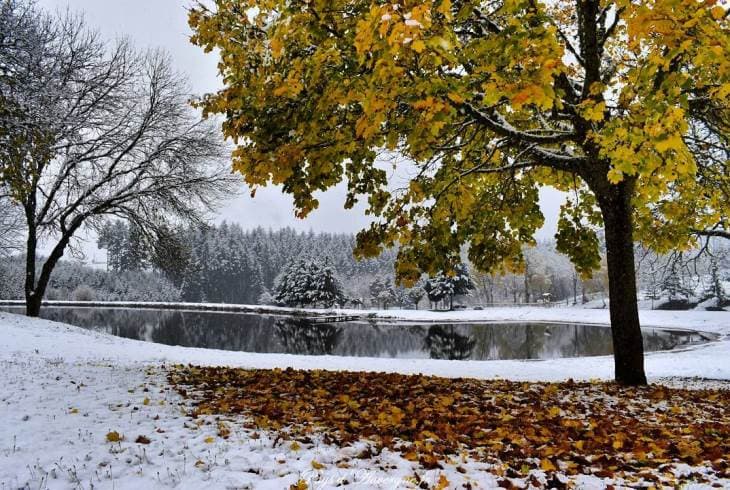 Image d'illustration pour Les dernières couleurs d'automne avant les paysages d'hiver