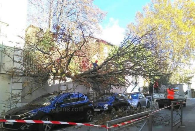 Image d'illustration pour Mistral et tramontane déchaînés près de la Méditerranée