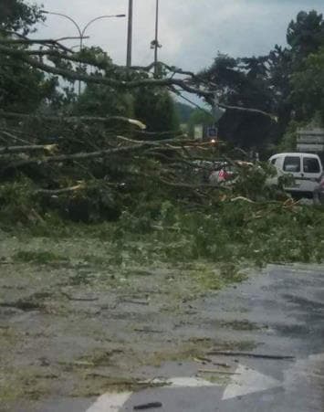 Image d'illustration pour De violents orages fin mai se prolongeant début juin