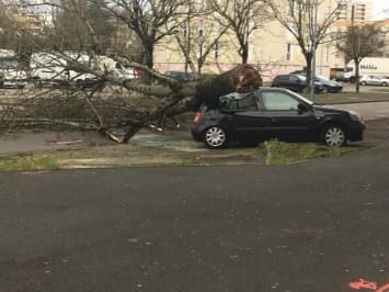 Image d'illustration pour Pluie, vent et neige : intempéries au passage de la tempête Ana
