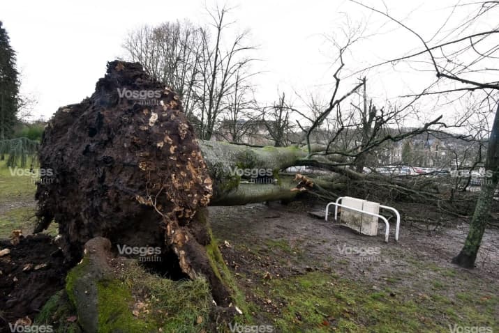 Image d'illustration pour Forts coups de vent sous des lignes de grains