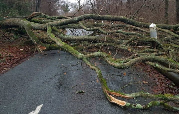 Image d'illustration pour Tempête Bruno du 26 au 28 décembre